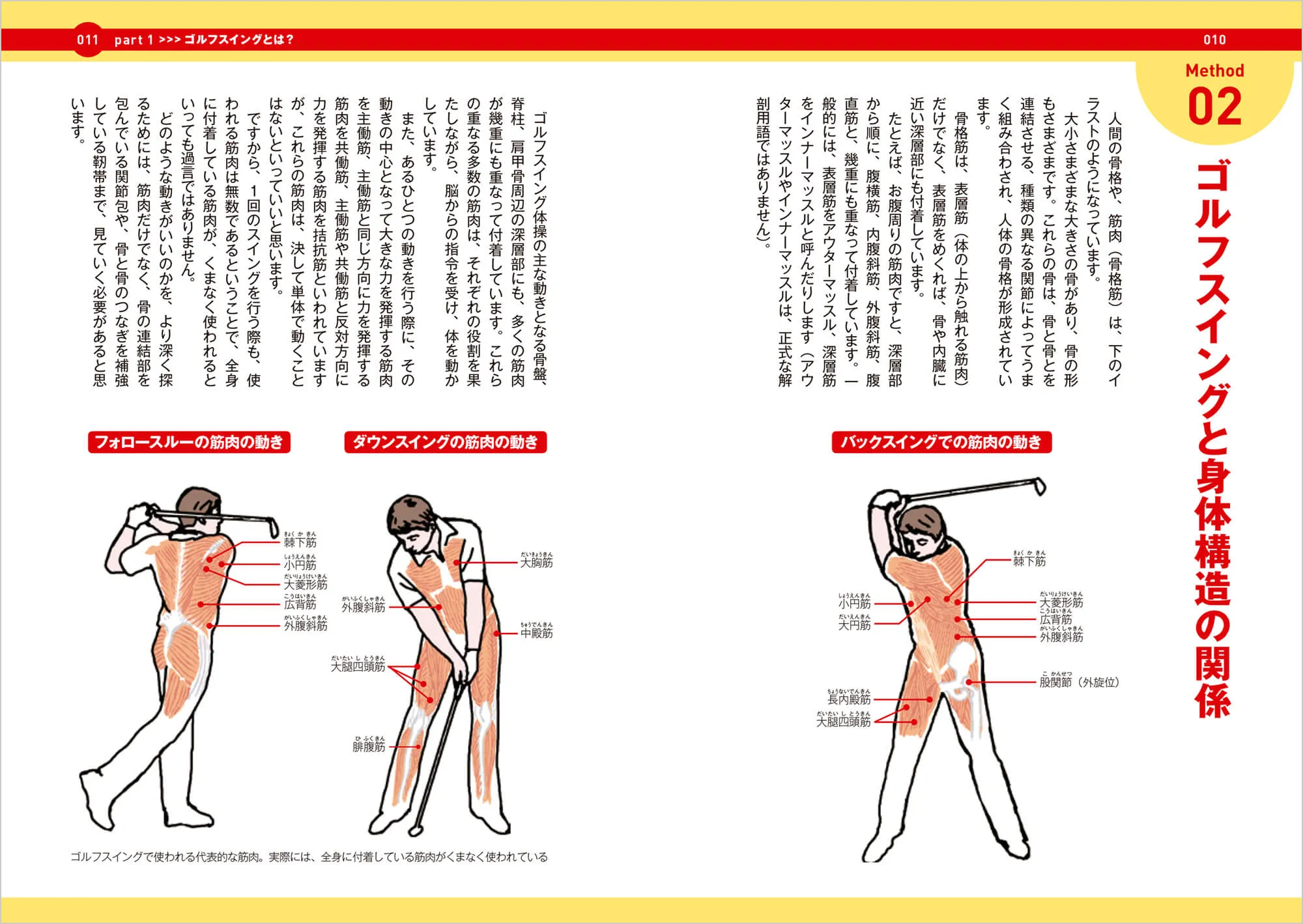 ゴルフスイング体操 中面