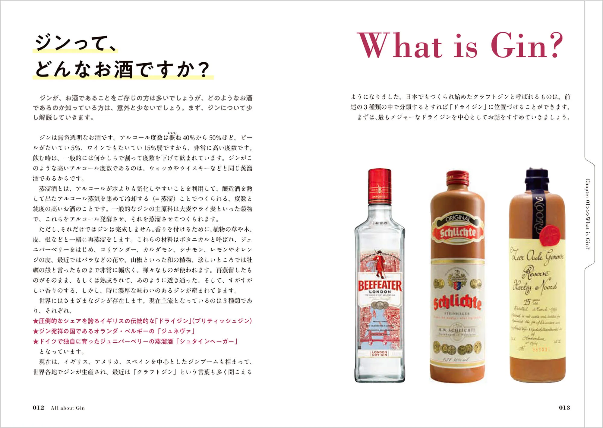 All About GIN ジンのすべて 中面