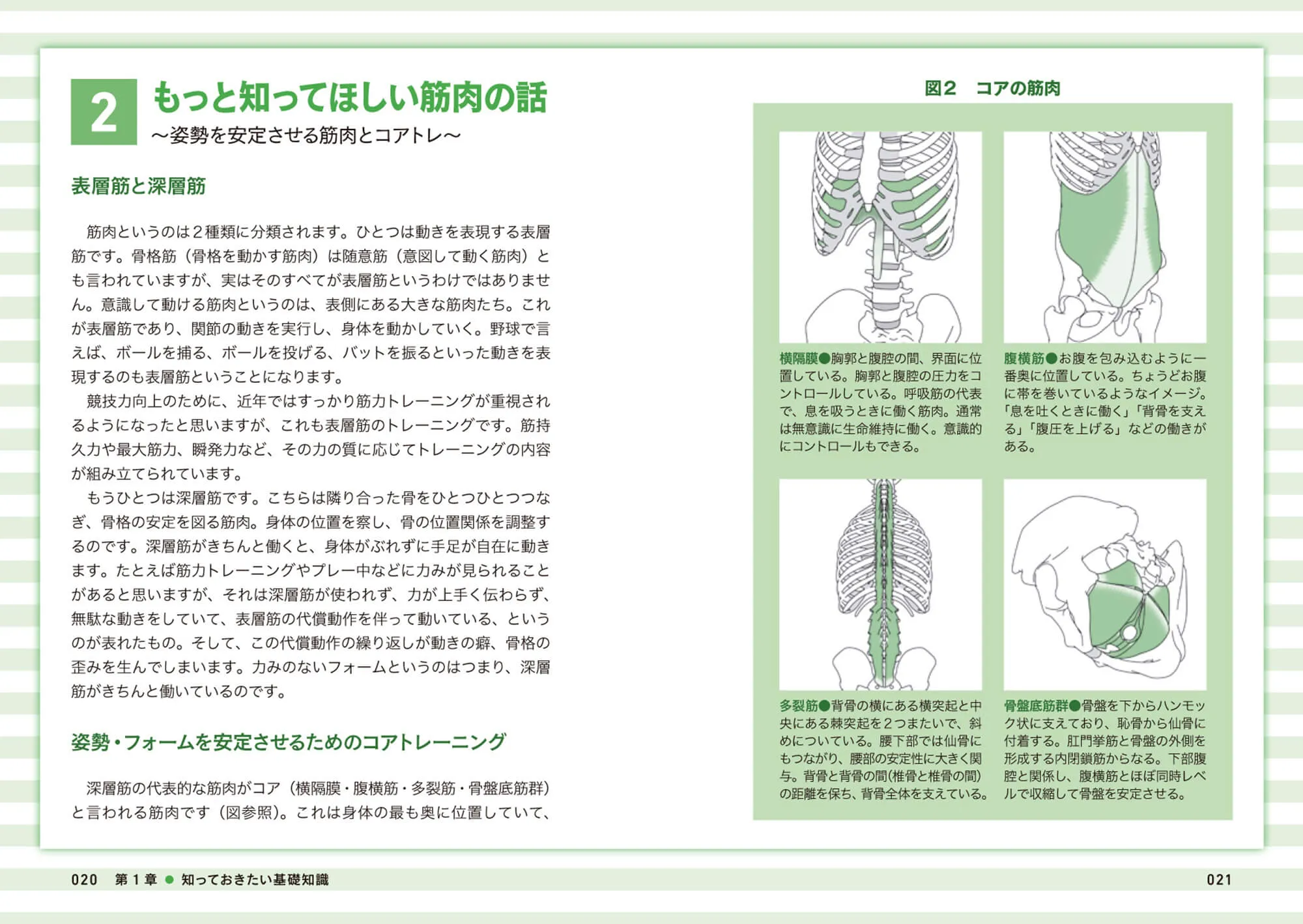 強くなるコアトレ 野球のコンディショニング 中面
