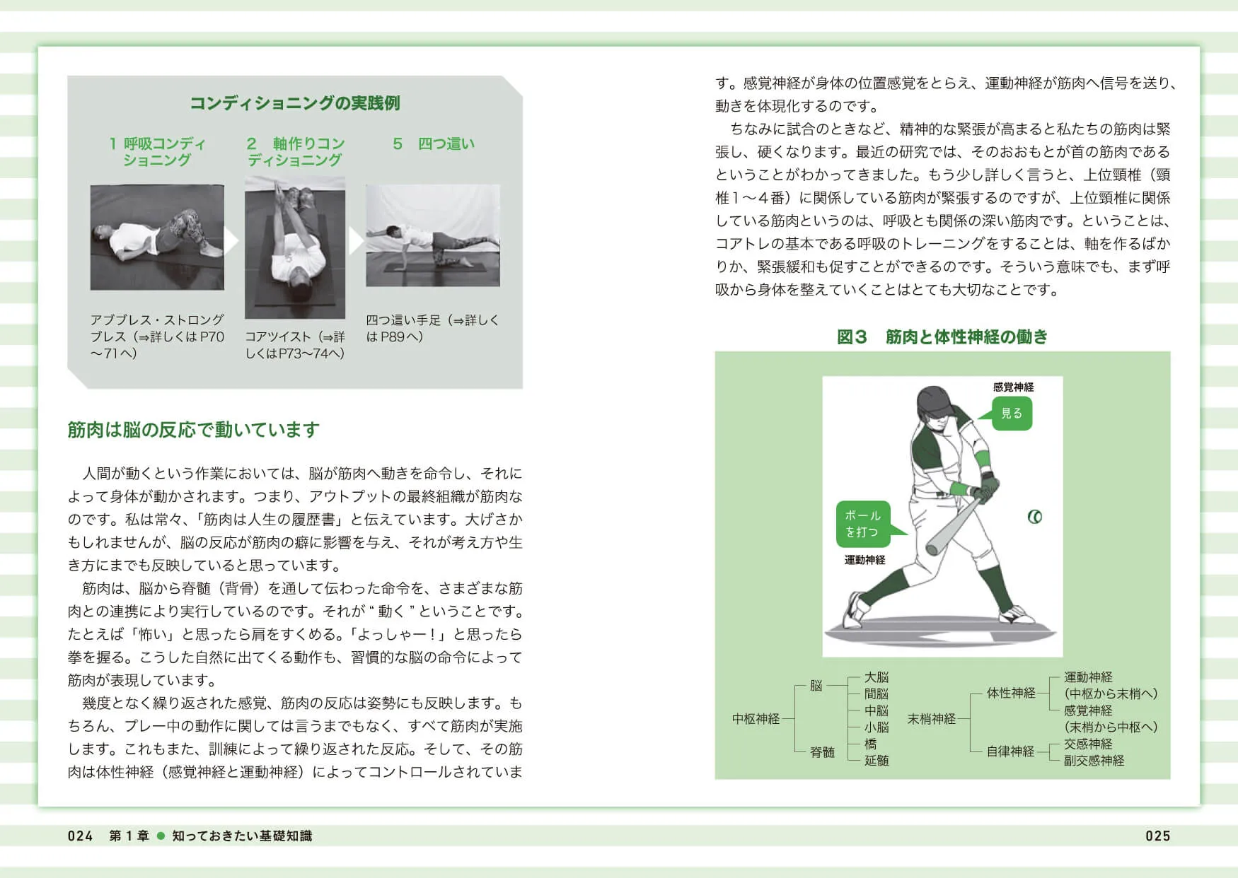 強くなるコアトレ 野球のコンディショニング 中面