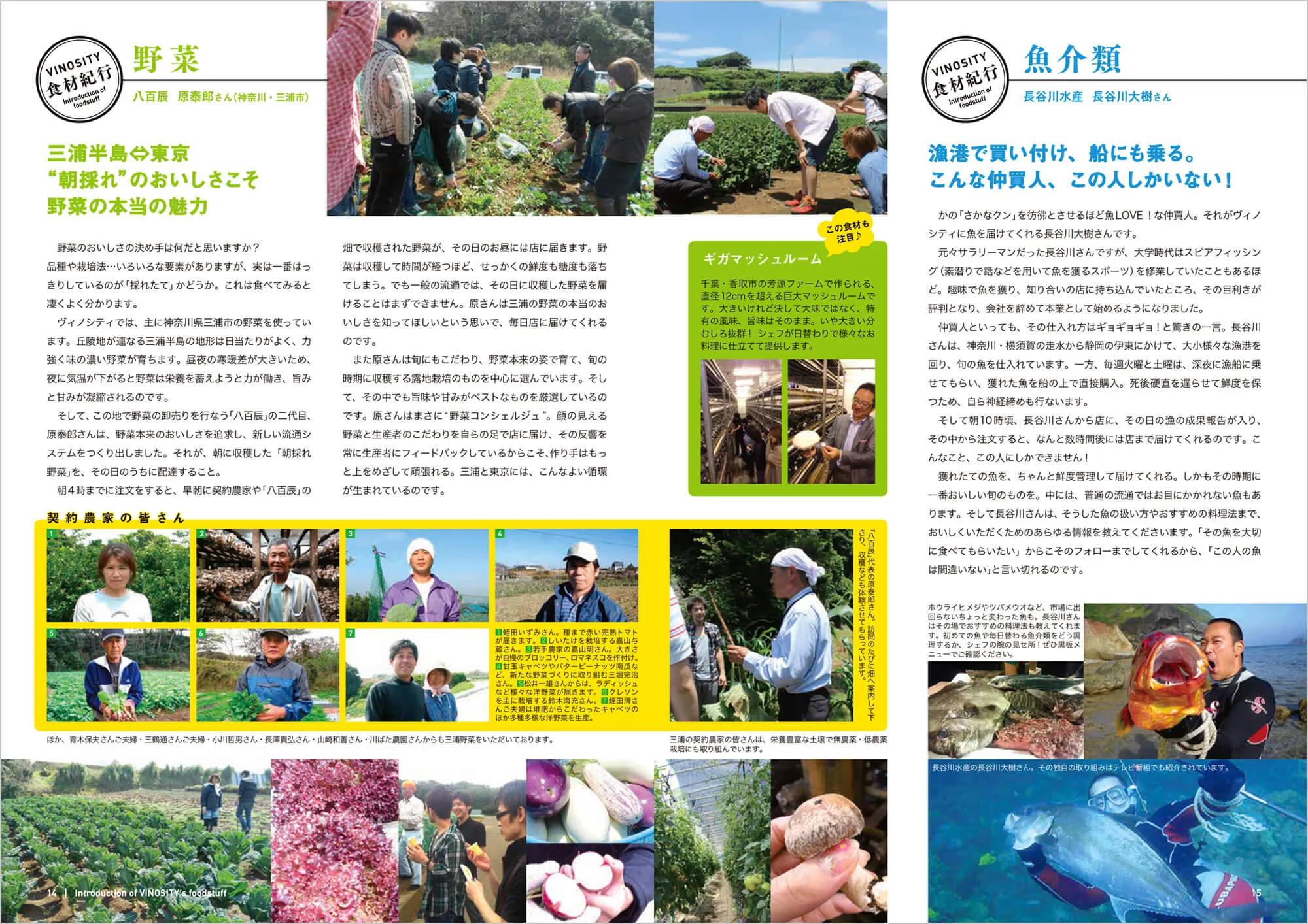 VINOSITY Menu Vol.2 中面