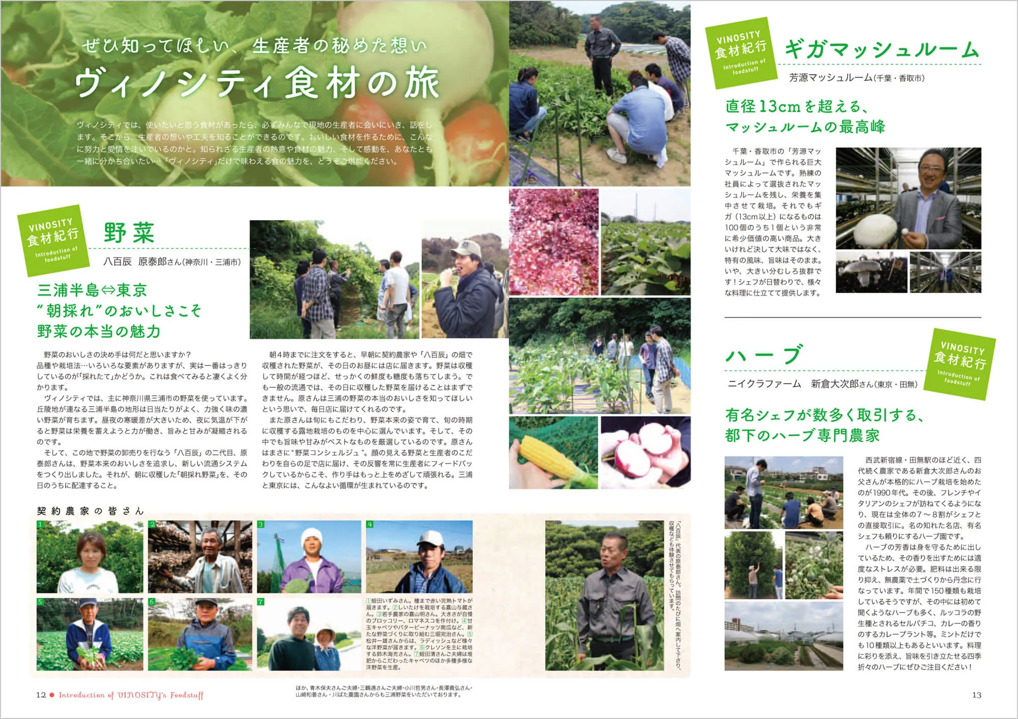 VINOSITY Menu Vol.3 中面